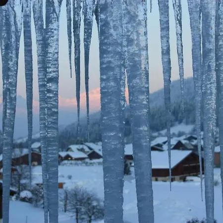Ξενοδοχείο Terrass Park Megève
